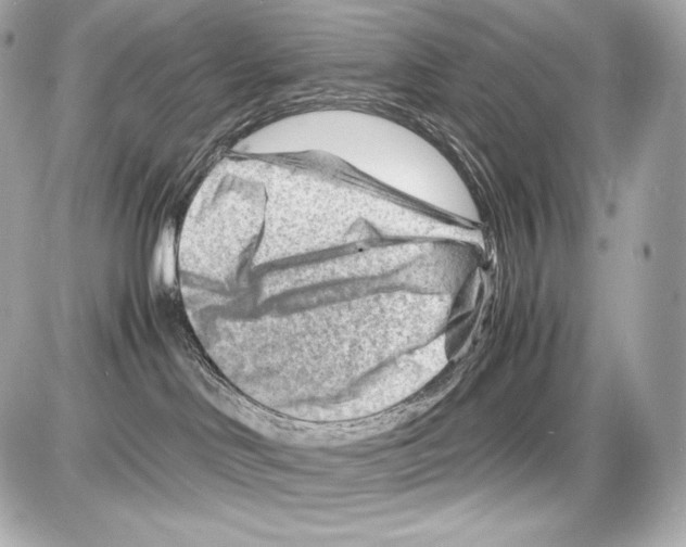 X0000085290046200704092243