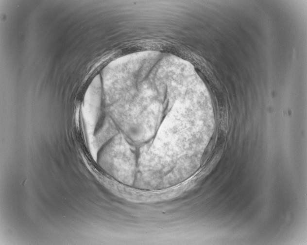 X0000085290047200704092243