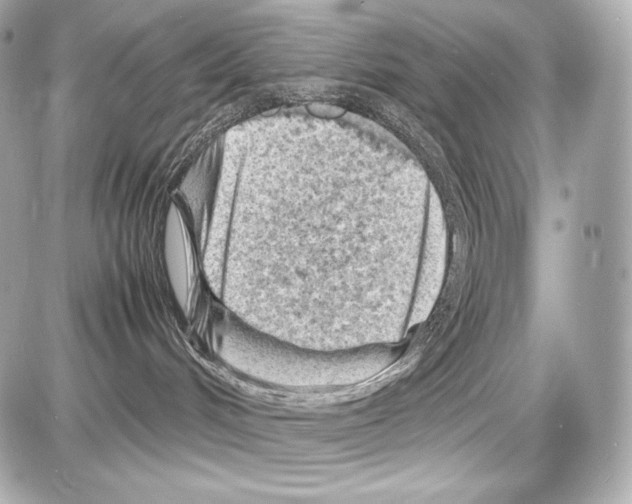X0000085290048200704092243