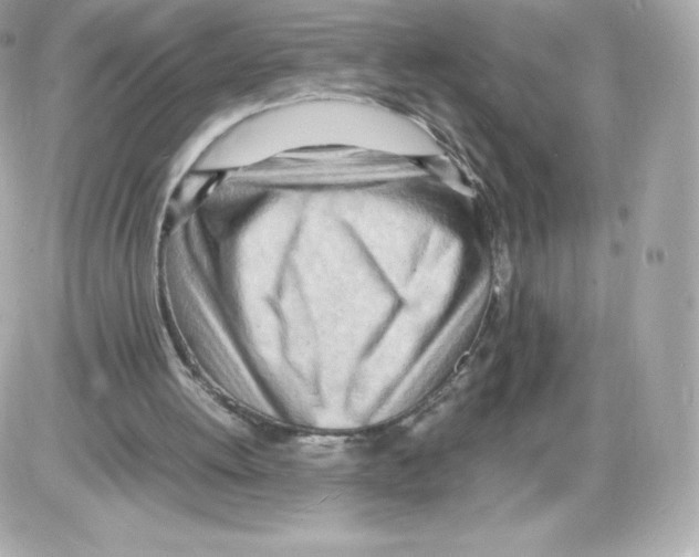 X0000085290052200704092242