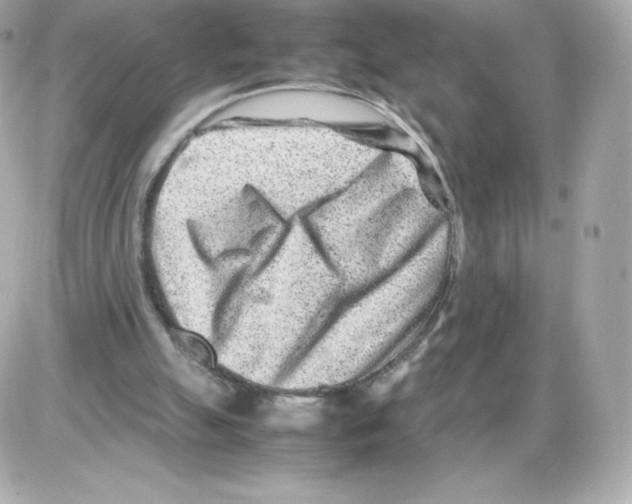 X0000085290055200704092242
