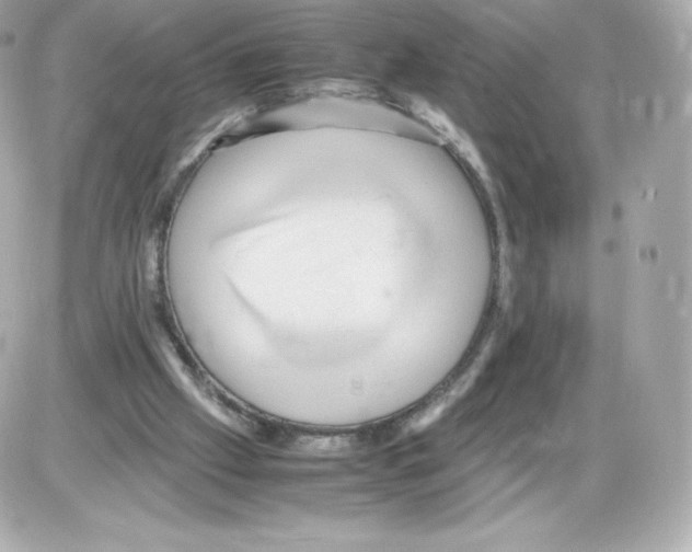 X0000085290057200704092242