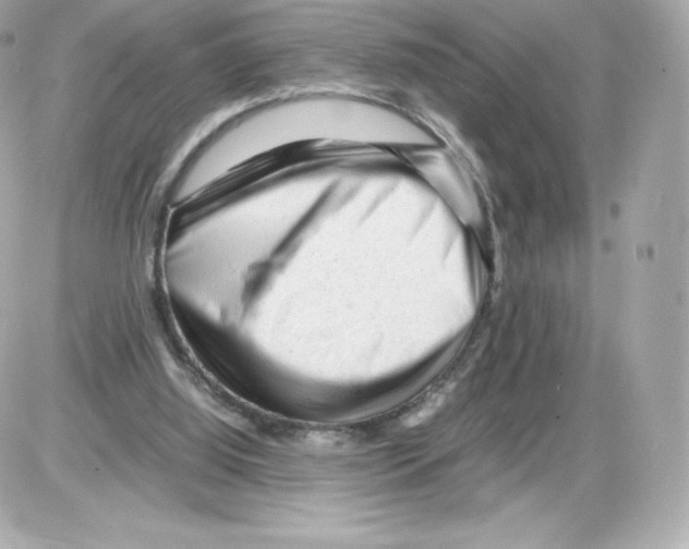 X0000085290060200704092243