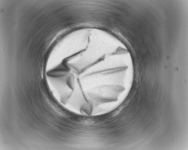 X0000085290062200704092243