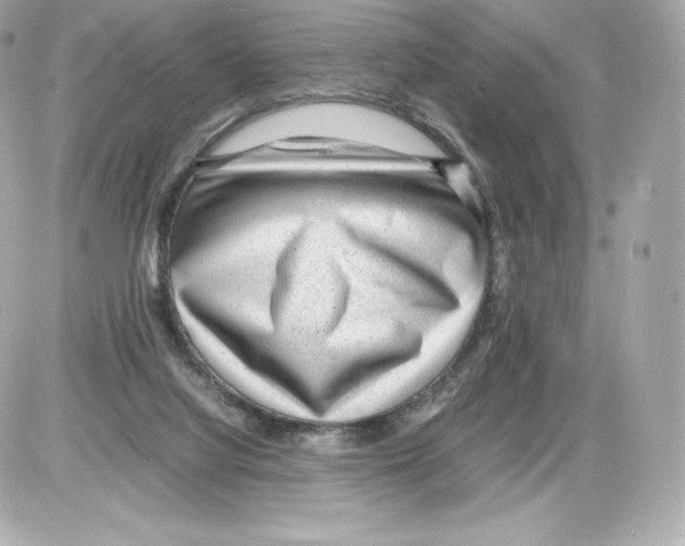 X0000085290068200704092243
