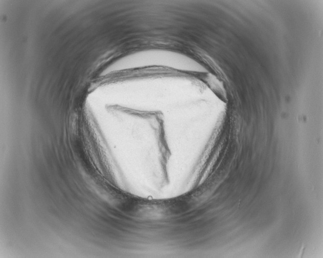 X0000085290071200704092243