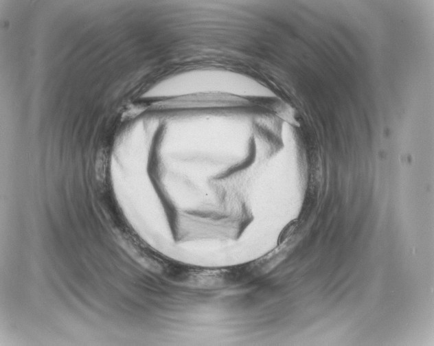 X0000085290078200704092243