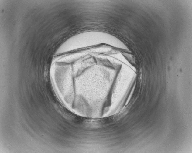X0000085290082200704092243