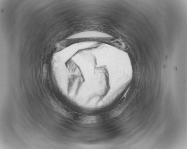 X0000085290085200704092243