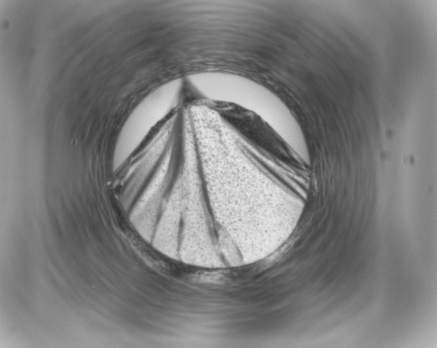 X0000085290086200704092243