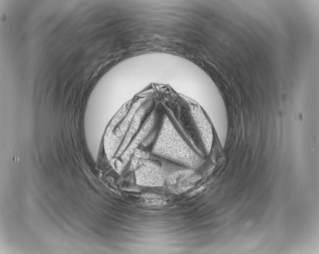 X0000085290088200704092243