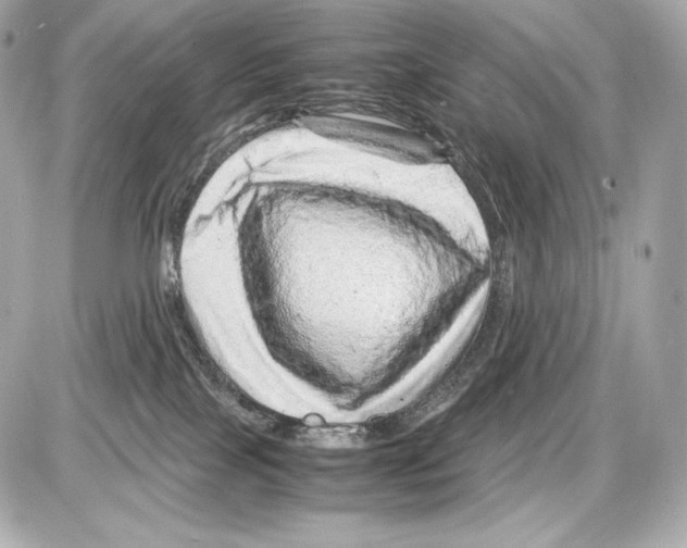 X0000085290089200704092243