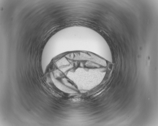 X0000085290092200704092243