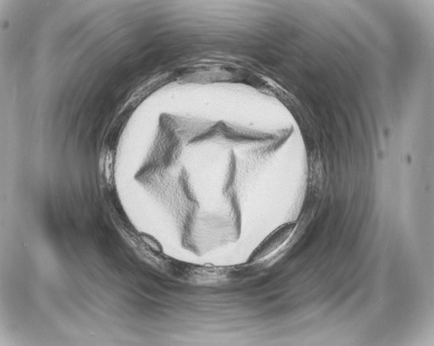 X0000085290094200704092243