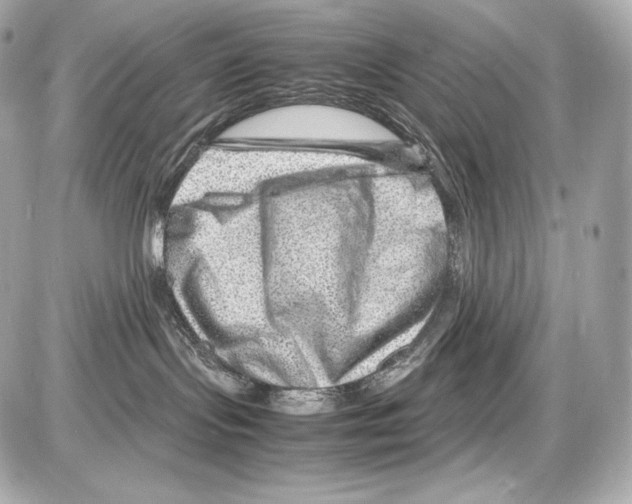X0000085290095200704092243