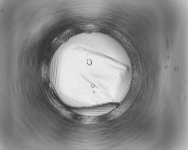 X0000085290096200704092243
