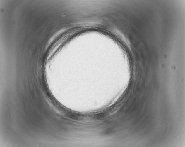 X0000085290107200704092242