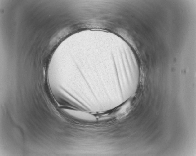 X0000085290109200704092242