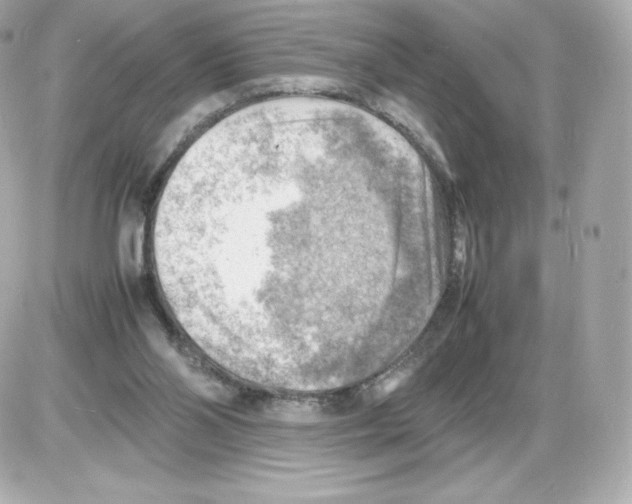 X0000085290110200704092242