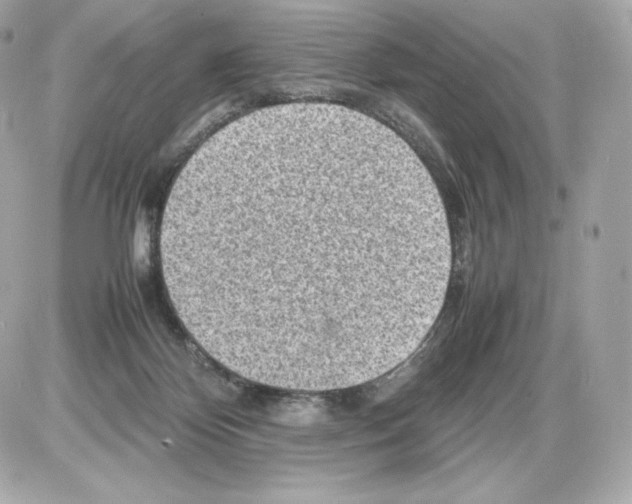 X0000085290124200704092242