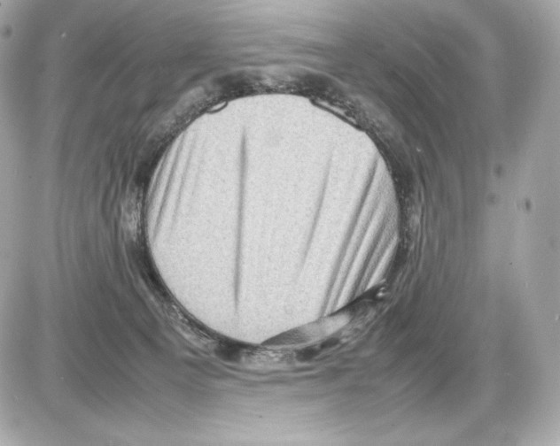 X0000085290129200704092242