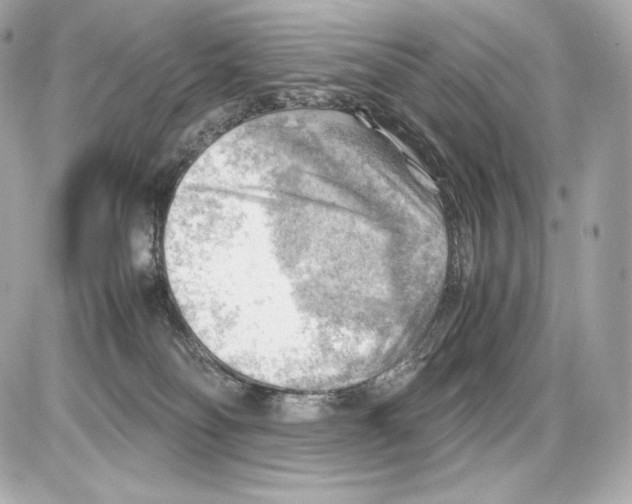 X0000085290134200704092242