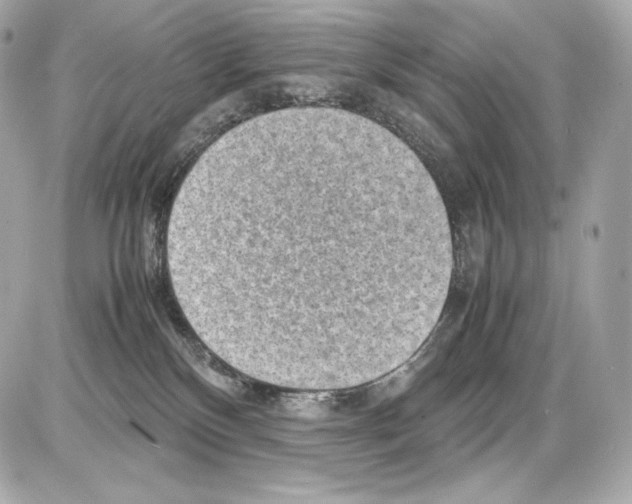X0000085290136200704092242
