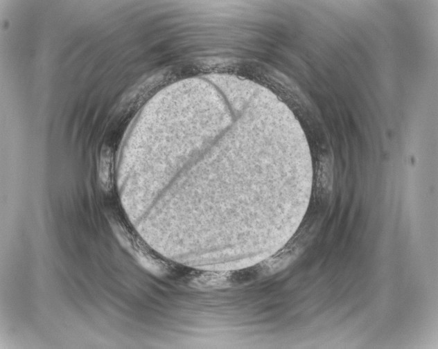 X0000085290138200704092242