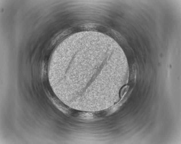 X0000085290140200704092242