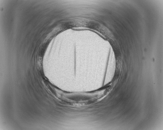 X0000085290141200704092242