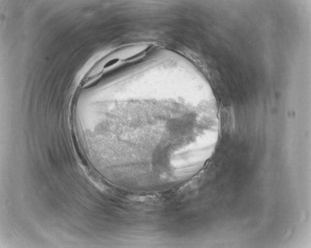 X0000085290147200704092241