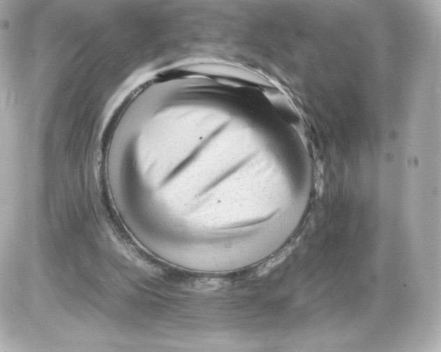 X0000085290152200704092241