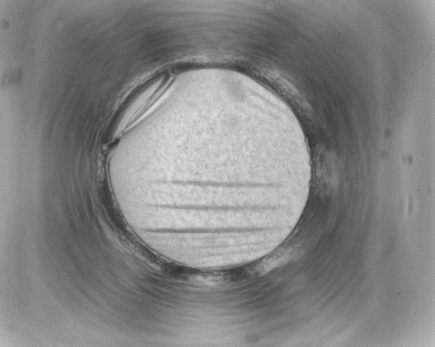 X0000085290164200704092241