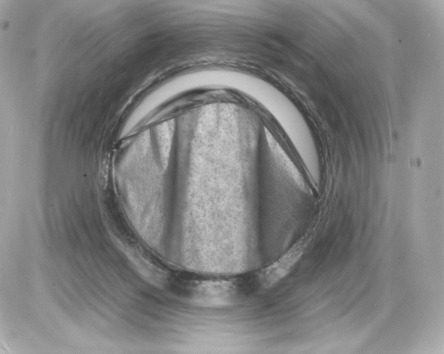 X0000085290168200704092241