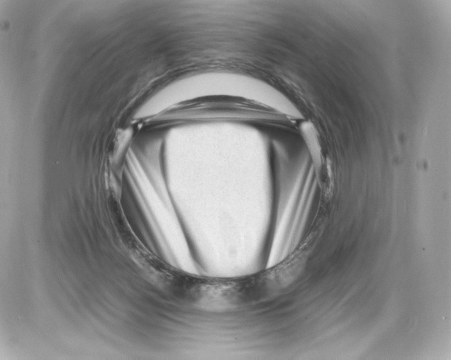 X0000085290172200704092241