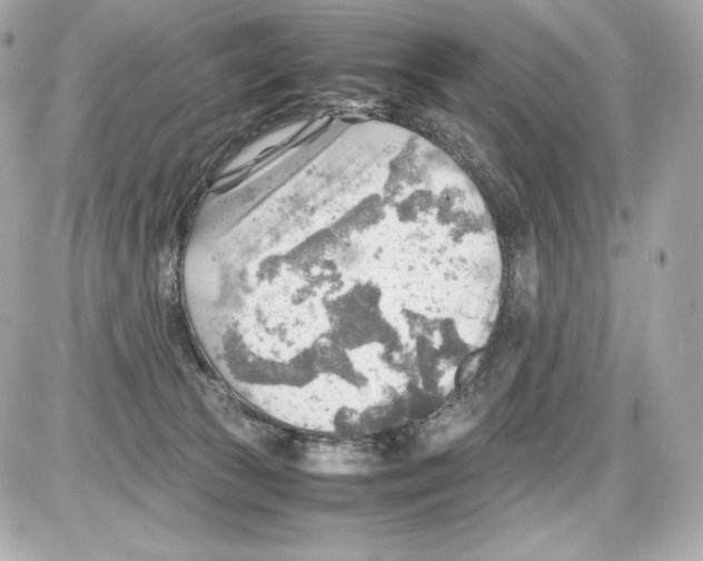 X0000085290177200704092241