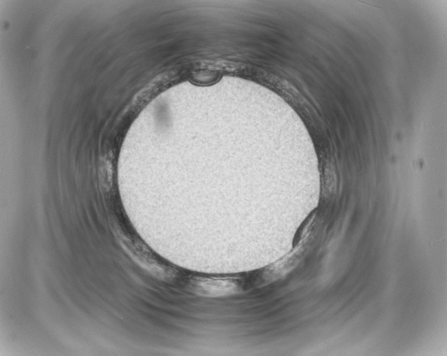 X0000085290183200704092241