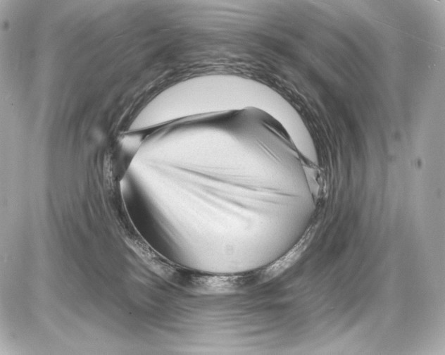 X0000085290184200704092241