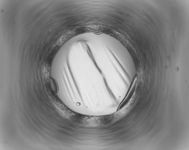 X0000085290186200704092241