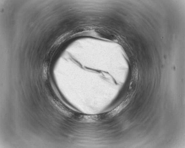 X0000085290188200704092241