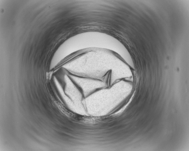 X0000085290190200704092242