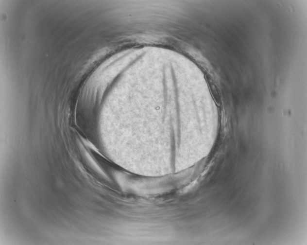 X0000085290201200704092241