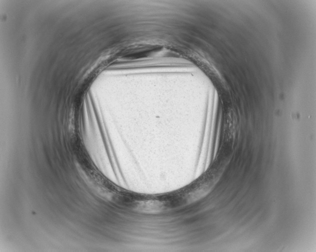X0000085290212200704092240