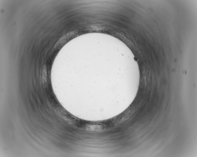 X0000085290220200704092240