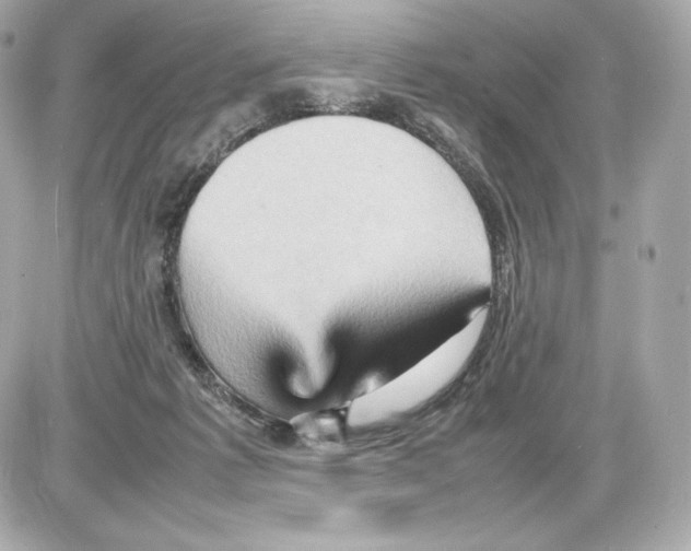 X0000085290221200704092240