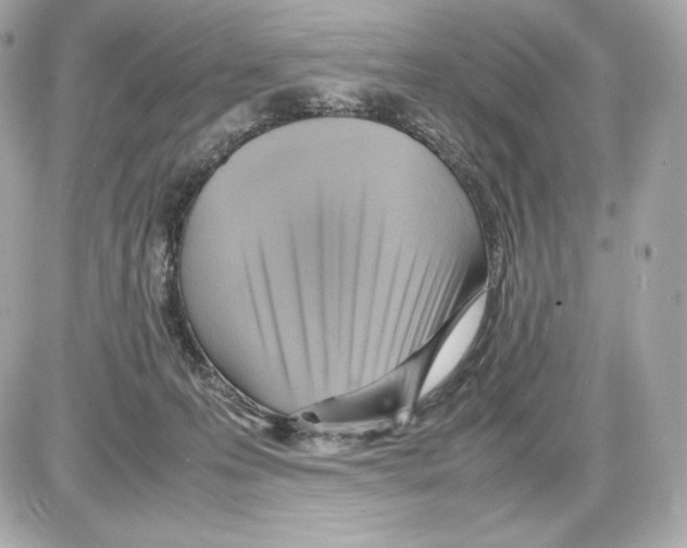 X0000085290223200704092240