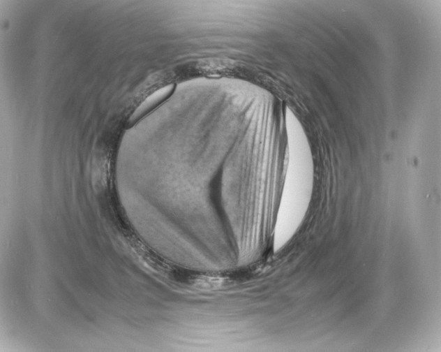 X0000085290227200704092240