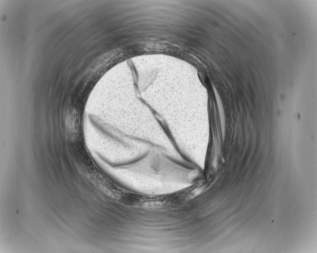 X0000085290228200704092240