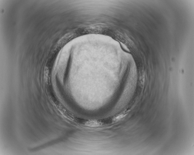 X0000085290231200704092240