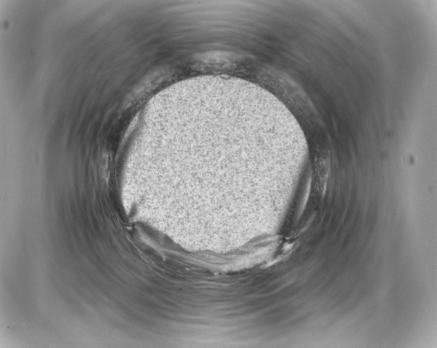 X0000085290232200704092240